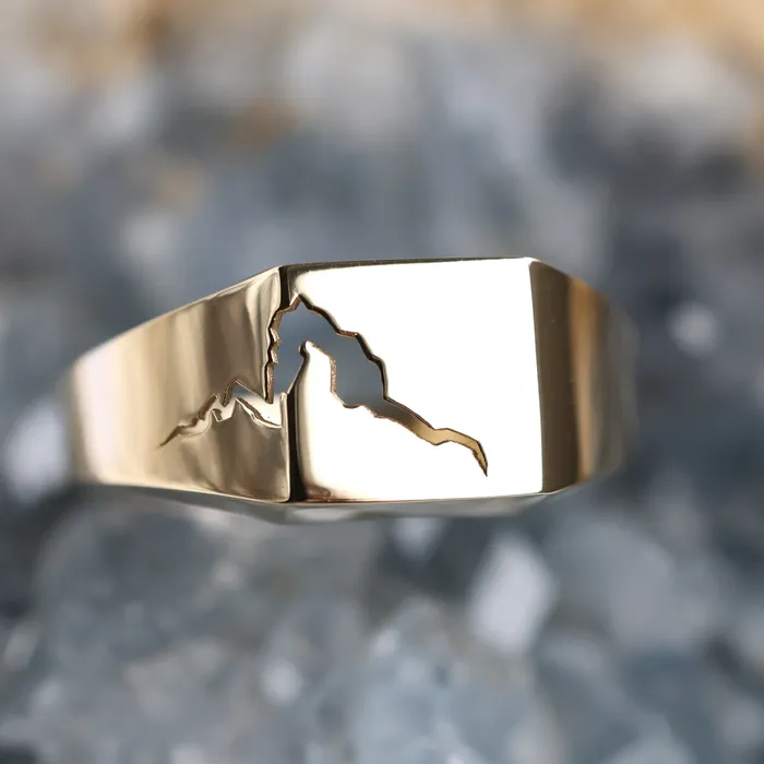 Capucinne Rings Orson cracked signet ring with black inlay Ready to Ship