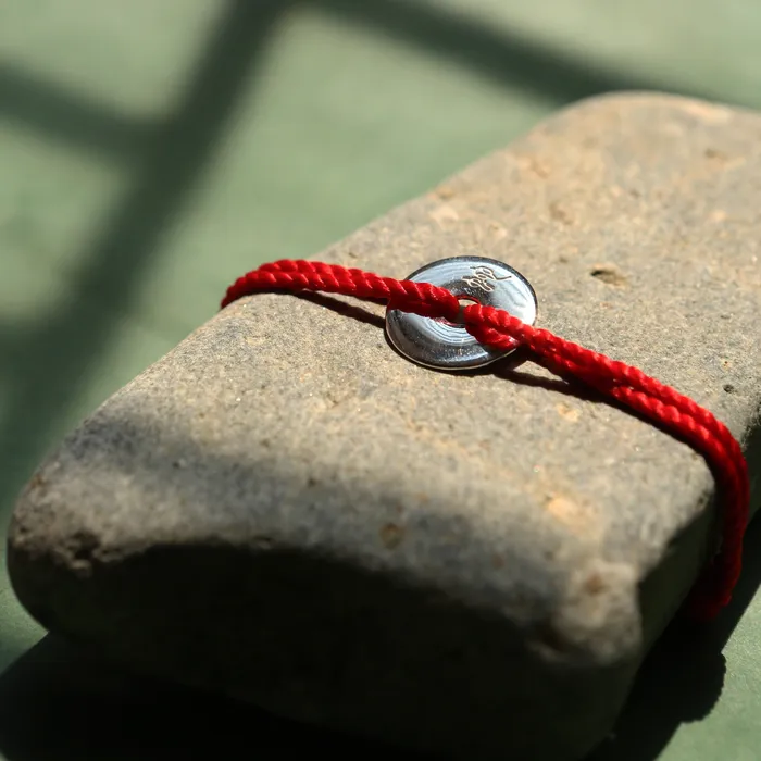 Loulourose Bracelets Lucky Red String Zodiac Coin Bracelet