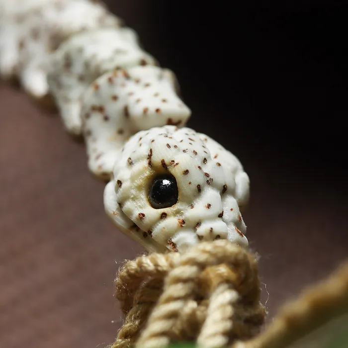 Remains Of The Beast Snake Bone Style Bracelet Viking Trinkets Bracelets