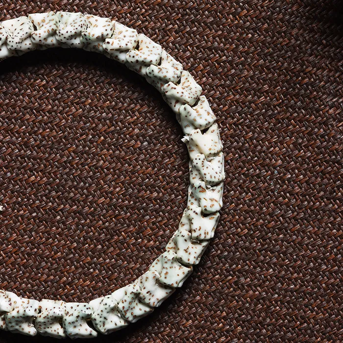 Remains Of The Beast Snake Bone Style Bracelet Viking Trinkets Bracelets
